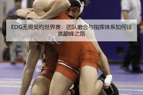EDG无畏契约世界赛：团队磨合与指挥体系如何铸就巅峰之路