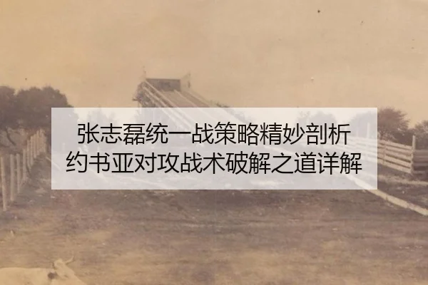 张志磊统一战策略精妙剖析 约书亚对攻战术破解之道详解