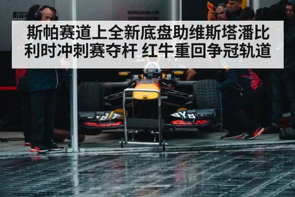 Red Bull racing team